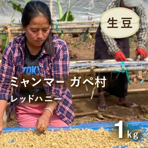 ミャンマー ガペ村 レッドハニー ファーストクロップ2022 1kg 農薬不使用