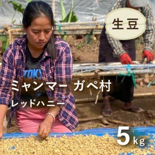コーヒー生豆 ミャンマー ガペ村 レッドハニー 5kg 農薬不使用