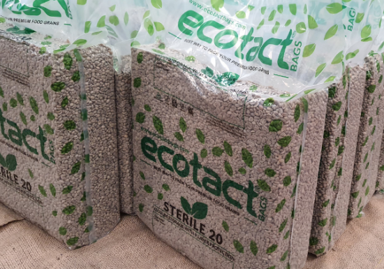 <img class='new_mark_img1' src='https://img.shop-pro.jp/img/new/icons14.gif' style='border:none;display:inline;margin:0px;padding:0px;width:auto;' />ҿƦӥޥå ڥƥҡƦ ե󥫡ɥ󡦥ե  ʥӥå ʥ (2024-2025ǯ) 10kg Ի (1kg 5,612ߡ