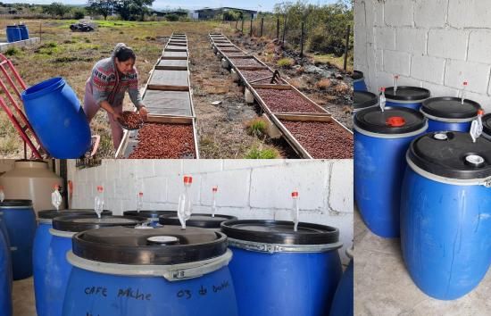 <img class='new_mark_img1' src='https://img.shop-pro.jp/img/new/icons14.gif' style='border:none;display:inline;margin:0px;padding:0px;width:auto;' />ҿƦӥޥå ڥƥҡƦ ե󥫡ɥ󡦥ե  ʥӥå ʥ (2024-2025ǯ) 10kg Ի (1kg 5,612ߡ