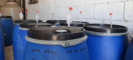 <img class='new_mark_img1' src='https://img.shop-pro.jp/img/new/icons14.gif' style='border:none;display:inline;margin:0px;padding:0px;width:auto;' />ҿƦӥޥå ڥƥҡƦ ե󥫡ɥ󡦥ե  ʥӥå ʥ (2024-2025ǯ) 10kg Ի (1kg 5,612ߡ