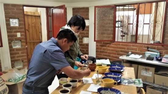 <img class='new_mark_img1' src='https://img.shop-pro.jp/img/new/icons14.gif' style='border:none;display:inline;margin:0px;padding:0px;width:auto;' />ҿƦӥޥå ڥƥҡƦ ե󥫡ɥ󡦥ե  ʥӥå ʥ (2024-2025ǯ) 10kg Ի (1kg 5,612ߡ