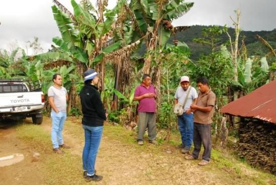 <img class='new_mark_img1' src='https://img.shop-pro.jp/img/new/icons14.gif' style='border:none;display:inline;margin:0px;padding:0px;width:auto;' />ҿƦӥޥå ڥƥҡƦ ե󥫡ɥ󡦥ե  ʥӥå ʥ (2024-2025ǯ) 10kg Ի (1kg 5,612ߡ