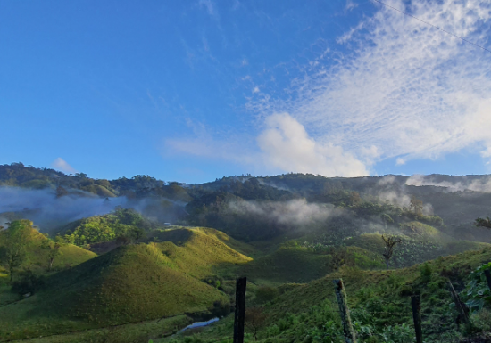 <img class='new_mark_img1' src='https://img.shop-pro.jp/img/new/icons14.gif' style='border:none;display:inline;margin:0px;padding:0px;width:auto;' />ҿƦ ޥå ڥƥҡƦ ե󥫡ɥ󡦥ե  å (2024-2025ǯ) 1kg Ի