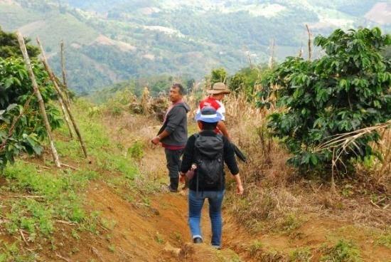 <img class='new_mark_img1' src='https://img.shop-pro.jp/img/new/icons14.gif' style='border:none;display:inline;margin:0px;padding:0px;width:auto;' />ҿƦ ޥå ڥƥҡƦ ե󥫡ɥ󡦥ե  å (2024-2025ǯ) 5kg Ի (1 4,007)