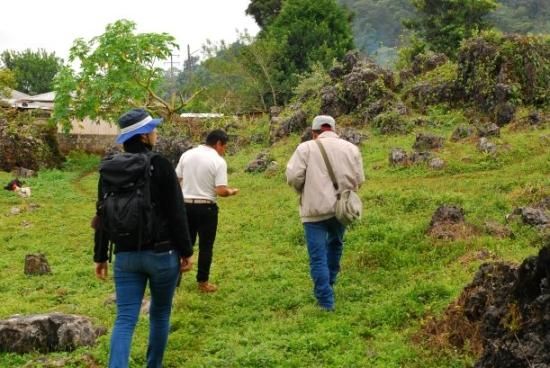 <img class='new_mark_img1' src='https://img.shop-pro.jp/img/new/icons14.gif' style='border:none;display:inline;margin:0px;padding:0px;width:auto;' />ҿƦ ޥå ڥƥҡƦ ե󥫡ɥ󡦥ե  å (2024-2025ǯ) 10kg Ի (12,427)