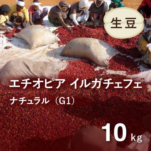コーヒー生豆 エチオピア イルガチェフェ ナチュラルG1(アリーチャ WS) 10kg 農薬不使用 
