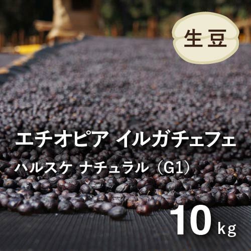送料無料【コーヒー生豆】マンデリンG1 10kg ※送料無料! - コーヒー