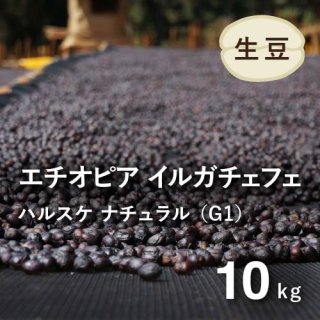 生豆 10kg以上 - オーガニックコーヒー フェアトレードコーヒー 生豆