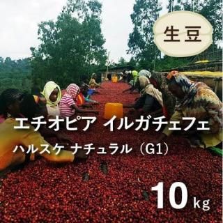 <img class='new_mark_img1' src='https://img.shop-pro.jp/img/new/icons14.gif' style='border:none;display:inline;margin:0px;padding:0px;width:auto;' /> 2025ǯƦӥҡƦ ԥ 륬ե ʥG1 (ϥ륹¼) 10kg Ի  (1 3,201ߡ