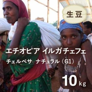 コーヒー生豆 エチオピア イルガチェフェ ナチュラルG1(チェルベサ村) 10kg 農薬不使用 (2022年9月入港)