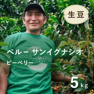 コーヒー生豆 ペルー サンイグナシオ ピーベリー5kg 農薬不使用　