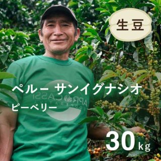 コーヒー生豆 ペルー サンイグナシオ ピーベリー30kg 農薬不使用　