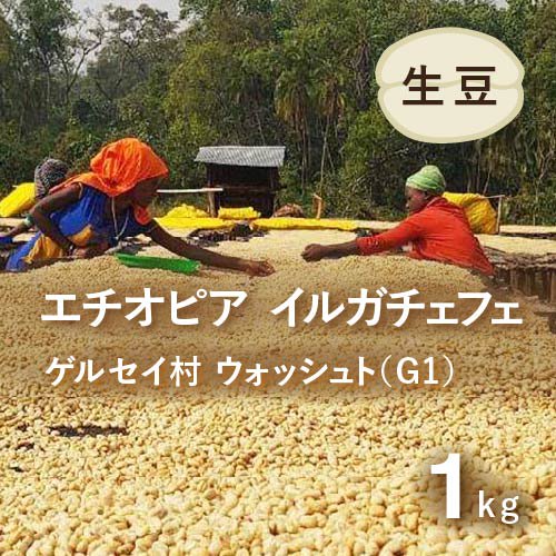 コーヒー生豆 エチオピア イルガチェフェ G1 ウォッシュト(ゲルセイ村)1kg 農薬不使用 