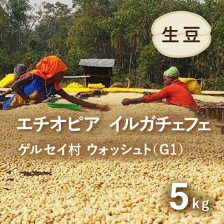 コーヒー生豆 エチオピア イルガチェフェ G1 ウォッシュト(ゲルセイ村)5kg 農薬不使用 
