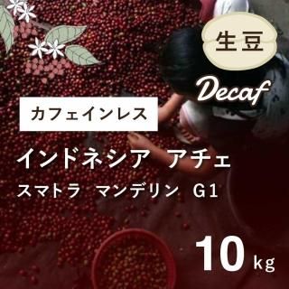 Һ١ ե쥹 ҡ (ǥե) Ʀ ޥǥG1ʥɥͥ  ޥȥ10kg Ի եȥ졼 FLOǧ