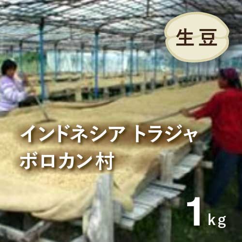 コーヒー生豆 インドネシア・トラジャ（ボロカン村） 1kg 農薬不使用