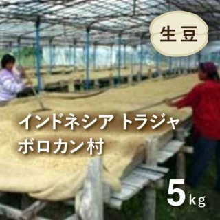〈2022年新豆〉 コーヒー生豆 インドネシア・トラジャ（ボロカン村） 5kg 農薬不使用