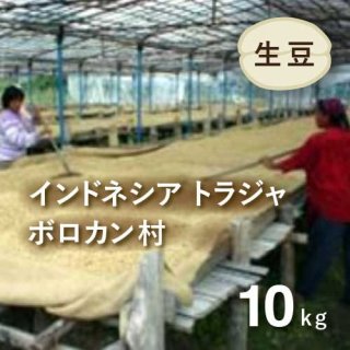 〈2022年新豆〉 コーヒー生豆 インドネシア・トラジャ（ボロカン村） 10kg 農薬不使用