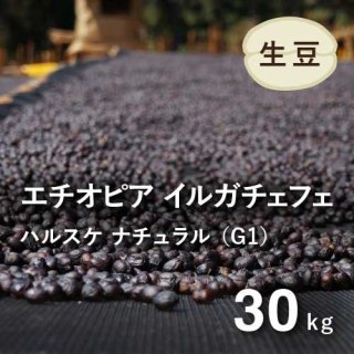 エチオピア - オーガニックコーヒー フェアトレードコーヒー 生豆 卸