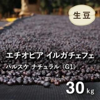 <img class='new_mark_img1' src='https://img.shop-pro.jp/img/new/icons14.gif' style='border:none;display:inline;margin:0px;padding:0px;width:auto;' />ԥ 륬ե ʥG1 ҡƦ (ϥ륹¼) 30kg Ի  (1 2,164ߡ