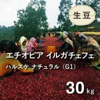 <img class='new_mark_img1' src='https://img.shop-pro.jp/img/new/icons14.gif' style='border:none;display:inline;margin:0px;padding:0px;width:auto;' />2025ǯƦӥҡƦ ԥ 륬ե ʥG1 (ϥ륹¼) 30kg Ի  (1 2,685ߡˡĿ𡦸Ŀ̾ǤιԲ