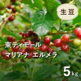 生豆5kg - オーガニックコーヒー フェアトレードコーヒー 生豆 卸・通販の まだゆめのつづき