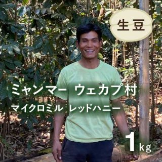 〈残りわずか〉 コーヒー生豆 ミャンマー ユアンガン ウェカプ村 マイクロミル レッドハニー 1kg 農薬不使用