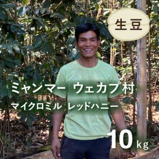 〈残りわずか〉 コーヒー生豆 ミャンマー ユアンガン ウェカプ村 マイクロミル レッドハニー 10kg 農薬不使用