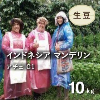 新豆 コーヒー生豆 マンデリン G1 アチェ スマトラ 10kg 農薬不使用