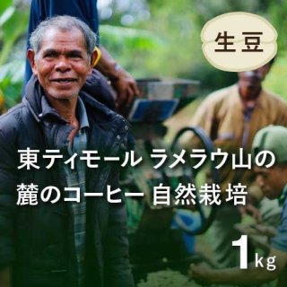 〈2023年新豆〉コーヒー生豆 東ティモール レテフォホ アスイ・クライク集落 1kg  農薬不使用