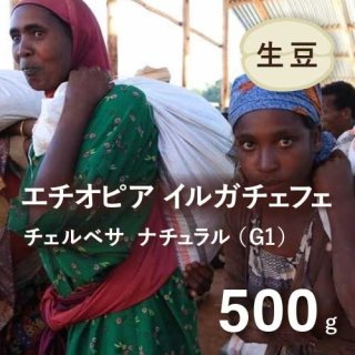 コーヒー生豆 エチオピア イルガチェフェ ナチュラルG1(チェルベサ村) 500g 農薬不使用 (2023年6月入港)