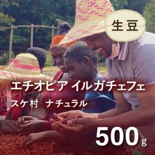 コーヒー生豆 エチオピア イルガチェフェ ナチュラル (ゲデオ・スケ村) 500g 農薬不使用