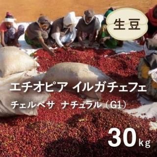 <img class='new_mark_img1' src='https://img.shop-pro.jp/img/new/icons14.gif' style='border:none;display:inline;margin:0px;padding:0px;width:auto;' />󥯥쥫ŻҷбӡJASǧդ ҡƦ ԥ 륬ե ʥG1(٥¼) 30kg  ҡ̾Ź̾ˤƹɬܡ (1kg2,950ߡ