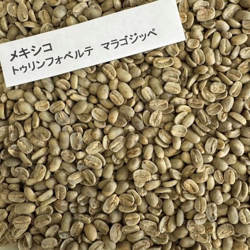 早期購入価格】 コーヒー生豆 メキシコ トゥリウンフォ・ベルデ