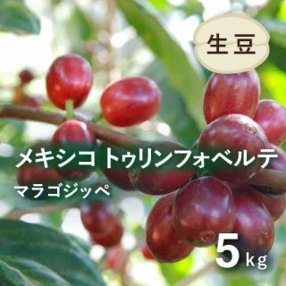 生豆5kg - オーガニックコーヒー フェアトレードコーヒー 生豆 卸