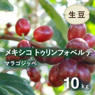 コーヒー生豆 メキシコ  トゥリウンフォ・ベルデ マラゴジッペ 10kg (2022-2023年新豆) 農薬不使用 (1キロあたり 2,394円)