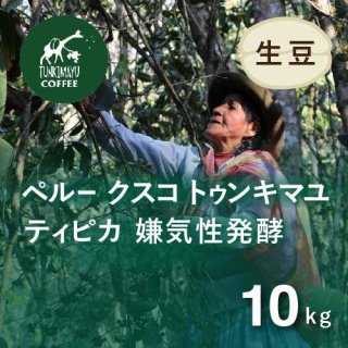 生豆10kg~ - オーガニックコーヒー フェアトレードコーヒー 生豆 卸