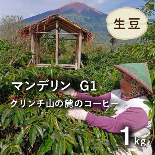 コーヒー生豆 インドネシア NEWマンデリン(G1) クリンチ山の麓のコーヒー 1kg 農薬不使用