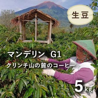 コーヒー生豆 インドネシア　NEWマンデリン(G1) クリンチ山の麓のコーヒー 5kg 農薬不使用 (1kgあたり 2,043円)
