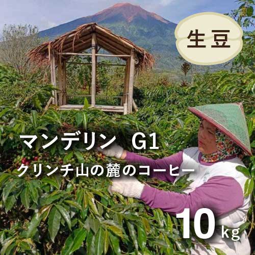 コーヒー生豆 インドネシア マンデリン(G1) クリンチ山の麓の