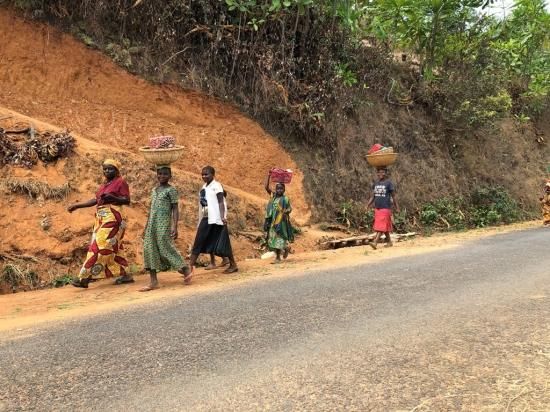 数量限定〉コーヒー生豆 ブルンジ キグサWS レッドハニー ウォッシュト