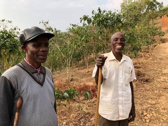 数量限定〉コーヒー生豆 ブルンジ キグサWS レッドハニー ウォッシュト