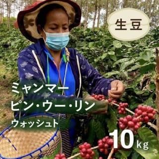 【東ティモール】エルメラ　 コーヒー生豆 ５kg コーヒー生豆 | 東ティモール・エルメラ産 - オーガニック