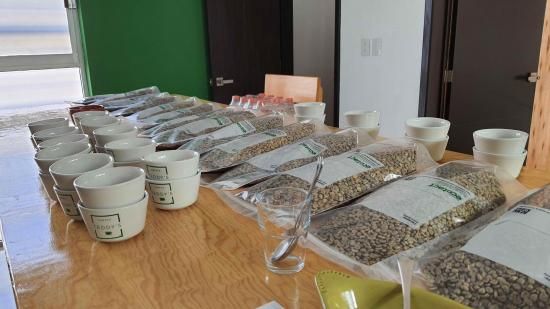 <img class='new_mark_img1' src='https://img.shop-pro.jp/img/new/icons14.gif' style='border:none;display:inline;margin:0px;padding:0px;width:auto;' />佪λӥޥå ڥƥҡƦ ե󥫡ɥ󡦥ե  ʥӥå ʥ (2024-2025ǯ) 30kg Ի (1kg5,353ߡ