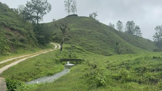 <img class='new_mark_img1' src='https://img.shop-pro.jp/img/new/icons14.gif' style='border:none;display:inline;margin:0px;padding:0px;width:auto;' />佪λӥޥå ڥƥҡƦ ե󥫡ɥ󡦥ե  ʥӥå ʥ (2024-2025ǯ) 30kg Ի (1kg5,353ߡ