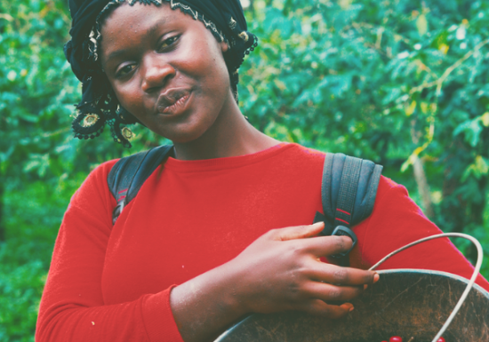 <img class='new_mark_img1' src='https://img.shop-pro.jp/img/new/icons3.gif' style='border:none;display:inline;margin:0px;padding:0px;width:auto;' />2025ǯ9 ҡƦ롼  㥤ȥԡ٥꡼ å G1 5kg Ի (1 2,569)