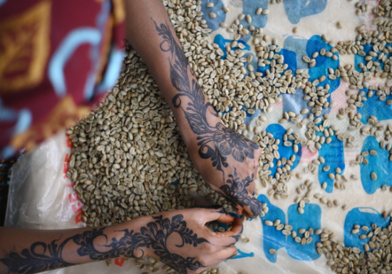 <img class='new_mark_img1' src='https://img.shop-pro.jp/img/new/icons3.gif' style='border:none;display:inline;margin:0px;padding:0px;width:auto;' />2025ǯ9 ҡƦ롼  㥤ȥԡ٥꡼ å G1 30kg  Ի (1 2,299)
