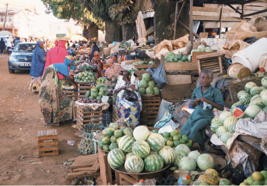 <img class='new_mark_img1' src='https://img.shop-pro.jp/img/new/icons3.gif' style='border:none;display:inline;margin:0px;padding:0px;width:auto;' />2025ǯ9 ҡƦ롼  㥤ȥԡ٥꡼ å G1 30kg  Ի (1 2,299)
