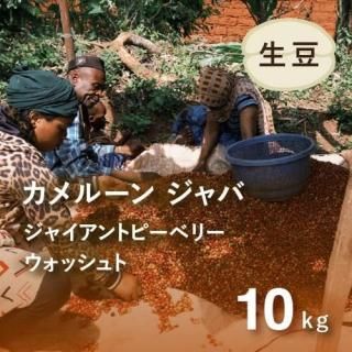 <img class='new_mark_img1' src='https://img.shop-pro.jp/img/new/icons3.gif' style='border:none;display:inline;margin:0px;padding:0px;width:auto;' />2025ǯ9 ҡƦ롼  㥤ȥԡ٥꡼ å G1 10kg Ի (1 2,377)
